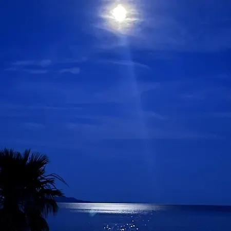 Daire Chez Jo Duplex Terrasse Vue Hyères