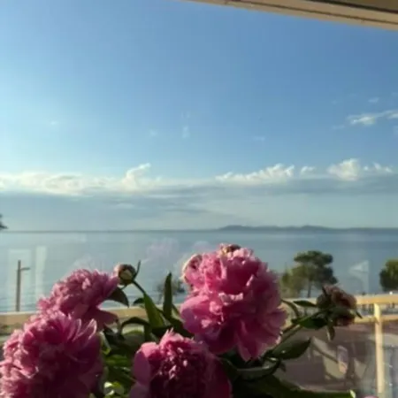 Chez Jo Duplex Terrasse Vue * イエール